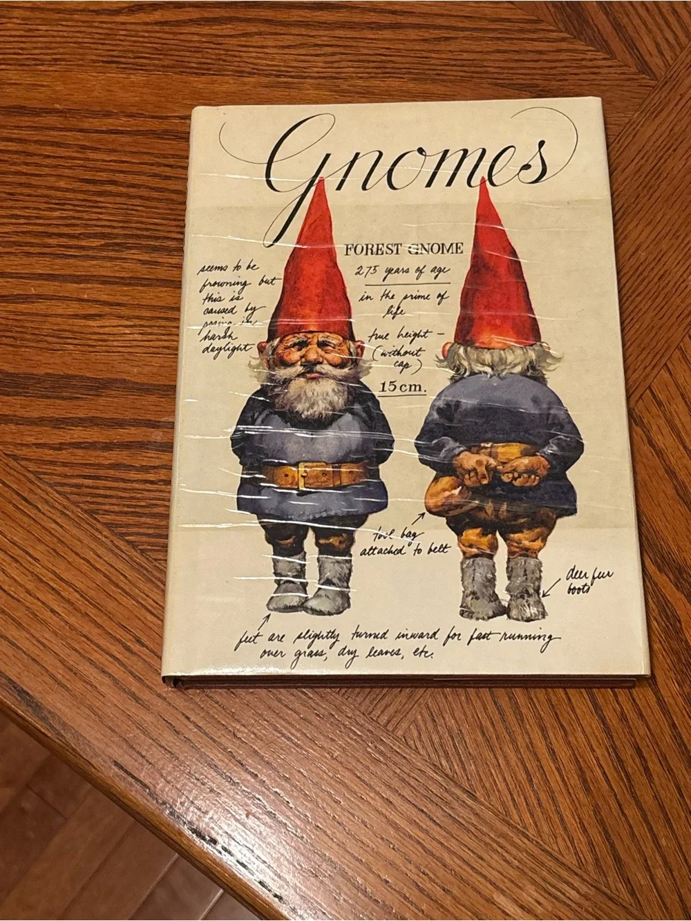 Gnomes by Wil Huygen & Rien Poortvliet – 1977 Vintage Hardcover Art Book